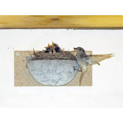 Nichoir Schwegler 10 pour Hirondelle rustique