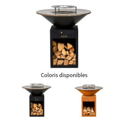 Braséro Barbecue avec Grille et Plancha Brazen - Acier thermolaqué Noir
