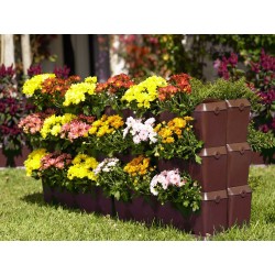 Jardinière murale en polypropylène Mini-Garden 64,6 x 19 x 57 cm marron