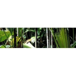 Brise vue de jardin en polyester décor Jungle 300 x 80 cm