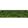 Brise vue de jardin en polyester décor Vigne Vierge 300 x 80 cm