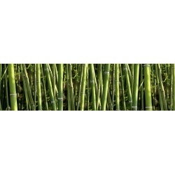 Brise vue de jardin en polyester décor Bambous 500 x 100 cm