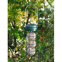 Mangeoire de Jardin pour Oiseaux