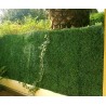 Haie artificielle de jardin en plaque PVC buis 50 x 50 cm