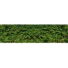 Brise vue de jardin en polyester décor Vigne Vierge 500 x 100 cm