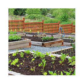 Carrés potagers en bois, PVC, PE - Au Sol, sur Pieds, Vertical