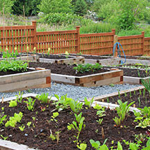 Carrés potagers en bois, PVC, PE - Au Sol, sur Pieds, Vertical