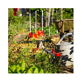 Retrouvez tous les produits indispensables au jardin.