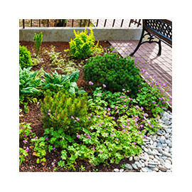 Paillage pour parterres de fleurs et potager.