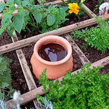 Arrosoir, Arrosage automatiques, Jarre d'irrigation, Réservoir d'eau