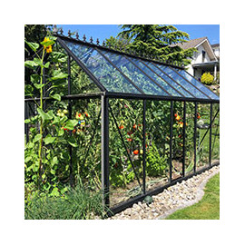 Serre de jardin en verre trempé