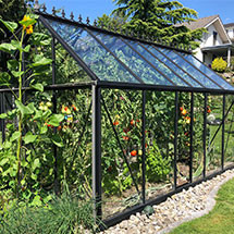 Serre de jardin en verre trempé