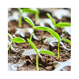 Mini-serres de culture et Serres de balcon.