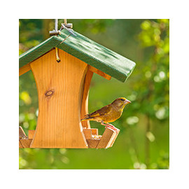 Mangeoires, Nichoirs, Abris, et Nourritures pour oiseaux