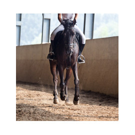 Equidés : Tous les Equipements et Accessoires pour Chevaux