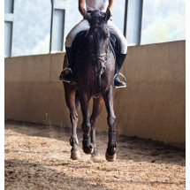 Equidés : Tous les Equipements et Accessoires pour Chevaux