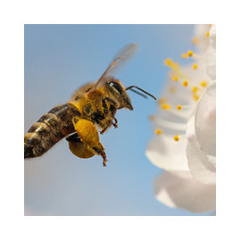 Produits pour les animaux du jardin - Large choix