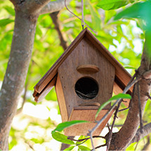 Nichoirs, abris et volières pour oiseaux - Large choix.