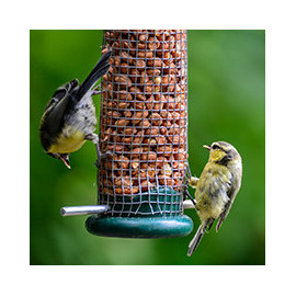 Mangeoires et Abreuvoir pour oiseaux - Large choix