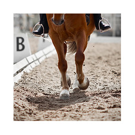 Dalles et tapis pour cheval. Produits de haute qualité