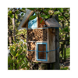 Abris et hôtel à insectes, papillons, coccinelles, ...