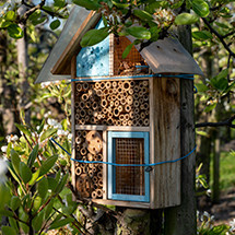 Abris et hôtel à insectes, papillons, coccinelles, ...