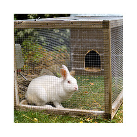 Cages - clapiers et enclos pour Lapins - Large choix