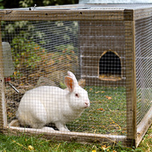 Cages - clapiers et enclos pour Lapins - Large choix