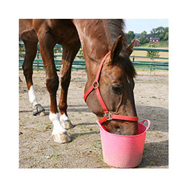 Seaux pour chevaux - Découvrez notre sélection de qualité
