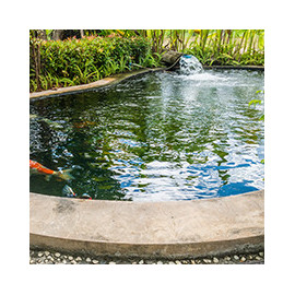 Bassin et Cascades pour Extérieur et Jardin