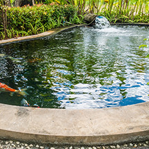 Bassin et Cascades pour Extérieur et Jardin