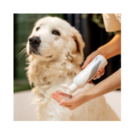 Shampoings, lotions, anti-puces - large gamme pour votre chien