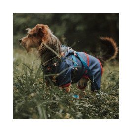 Vêtements et Protections Canin