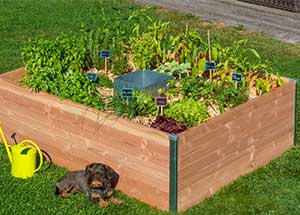 Des Carres Potagers Ecologique Et Made In France Avec Mon Petit Potager