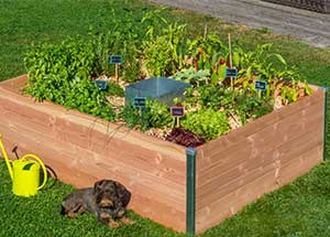 Carré potager en bois avec composteur Design Mon petit potager