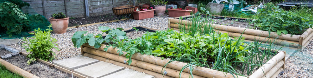 Comment Cultiver Et Ou Installer Un Carre Potager Une Mise En Place Simple Et Rapide