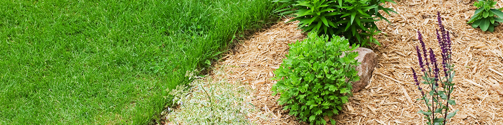 MEILLEURE Toile de paillage - Lutte contre les mauvaises herbes