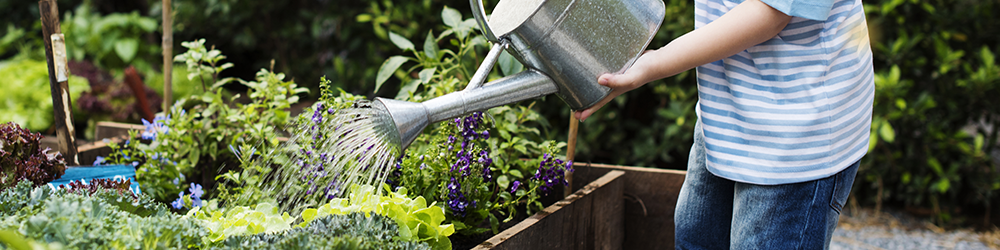 Protection et anti-nuisibles pour jardin Film de paillage spécial