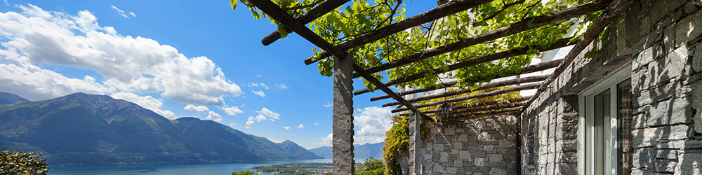 Créer une Toiture Naturelle pour votre Pergola en Bois avec 9 Plantes  Grimpantes