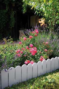 bordure bois à planter 2040 cm x 110 cm