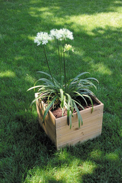 jardiniere en bois