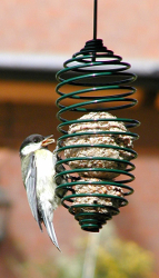 mangeoire à spirales pour oiseaux