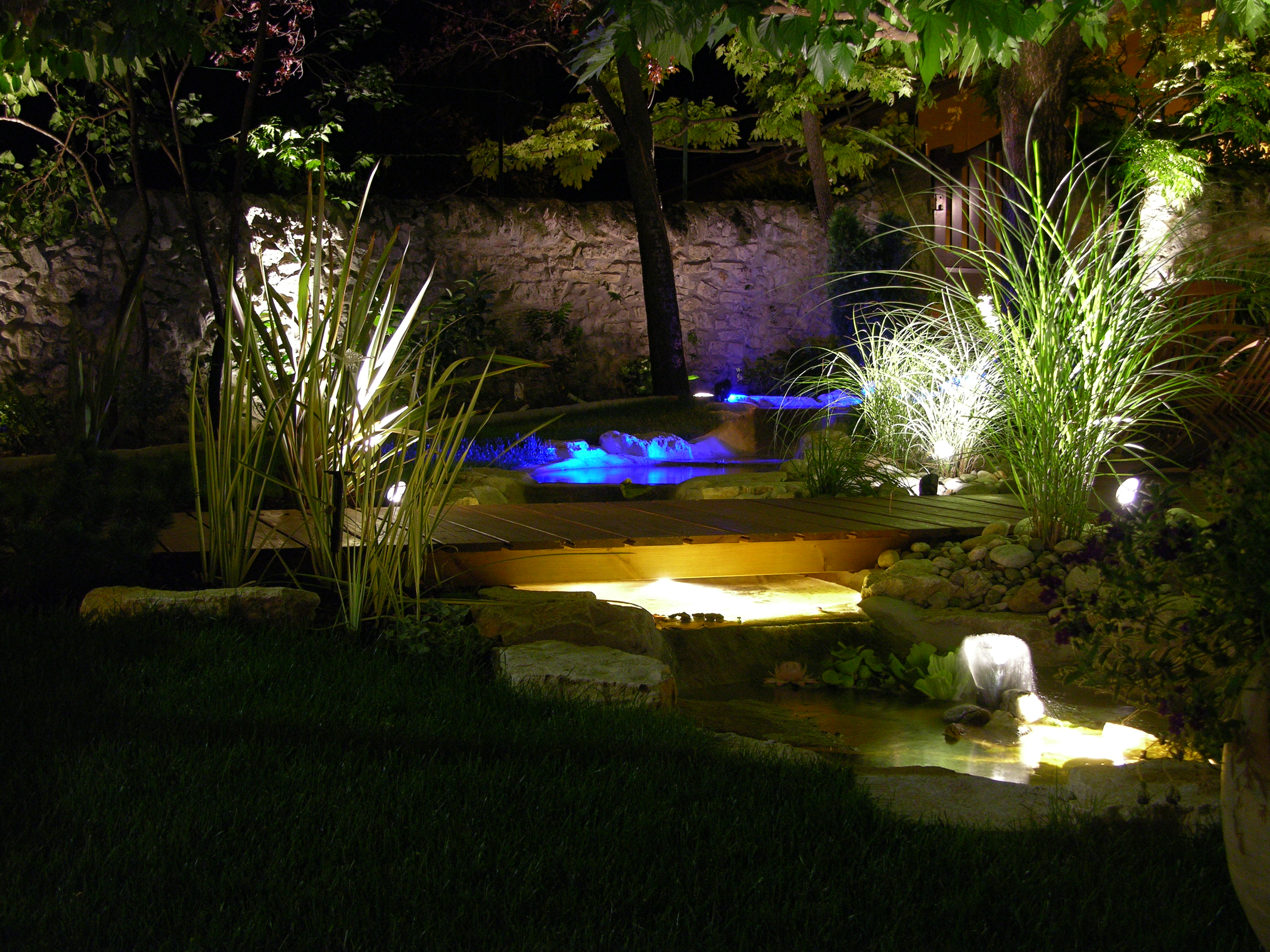 jardin en lumière bleue