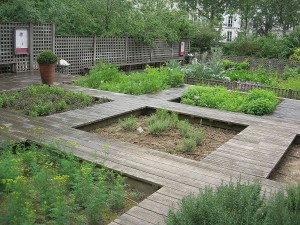 jardin médiéval cluny