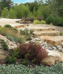 massif jardin méditerranéen