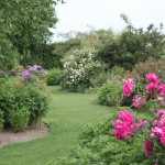 nettoyer son jardin avant départ en vacances