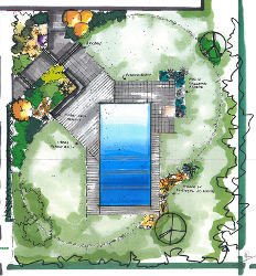 plan de jardin paysagiste