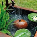 Bassin bois : aménager un espace zen dans son jardin !