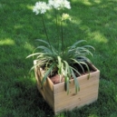 Décorer son jardin avec une jardinière en bois !