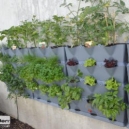 Mur végétal : trucs et astuces pour sa mise en place intérieure et extérieure